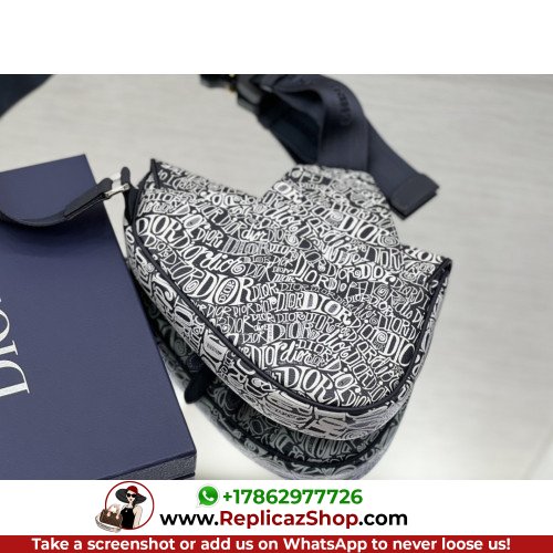 Dior Saddle - Image 5