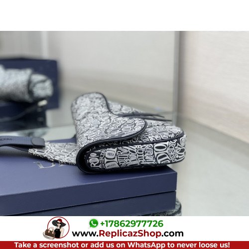 Dior Saddle - Image 6