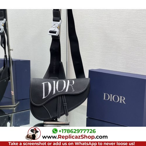 Dior Saddle