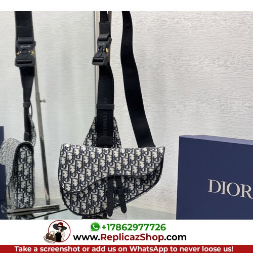 Dior Saddle