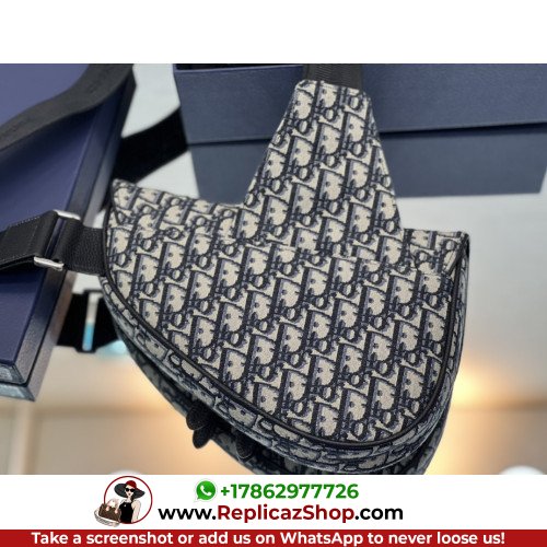 Dior Saddle - Image 6