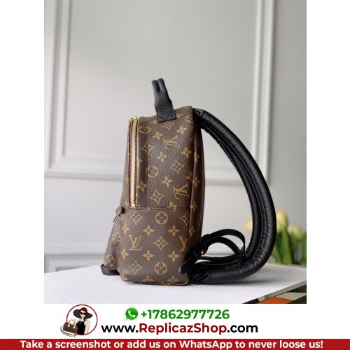 Louis Vuitton Backpack - Image 2