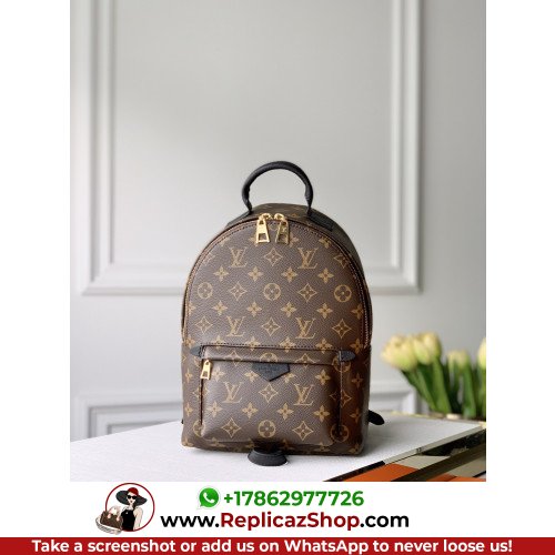 Louis Vuitton Backpack
