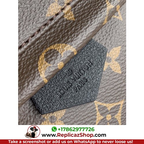 Louis Vuitton Backpack - Image 4