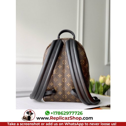 Louis Vuitton Backpack - Image 8