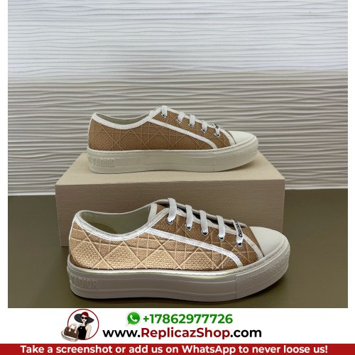 Dior Low Top Sneakers
