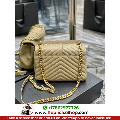 YSL College - Image 10