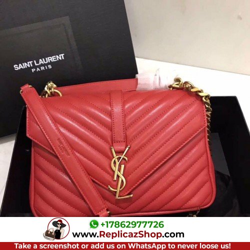 YSL College - Image 4