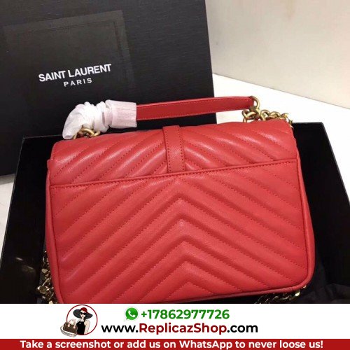 YSL College - Image 6