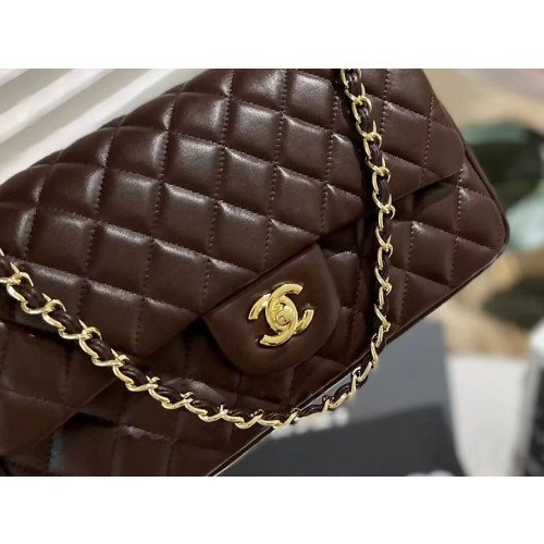 Chanel Flap Bag 25cm (Medium)