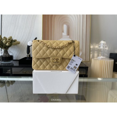 Chanel Flap Bag 23cm (Small)
