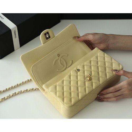 Chanel Flap Bag 25cm (Medium) - Image 4