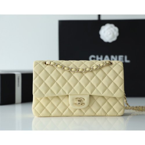 Chanel Flap Bag 25cm (Medium)