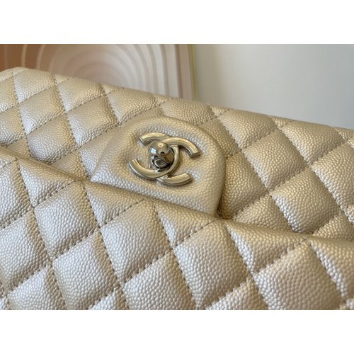 Chanel Flap Bag 25cm (Medium) - Image 3