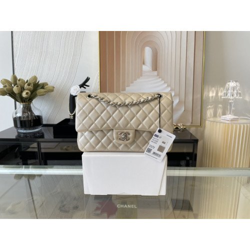 Chanel Flap Bag 25cm (Medium)