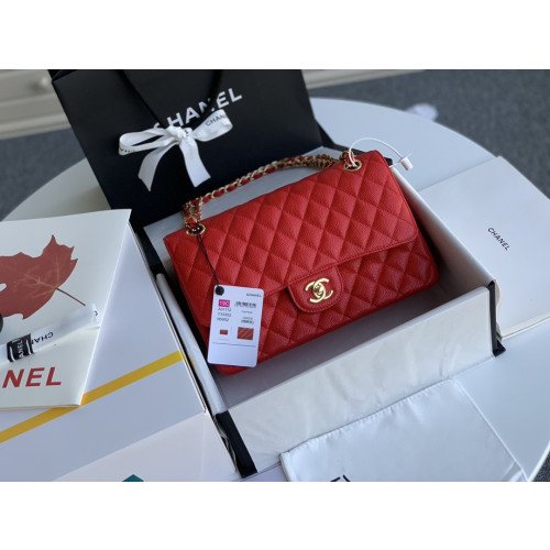 Chanel Flap Bag 25cm (Medium) - Image 4