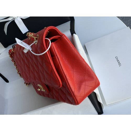 Chanel Flap Bag 25cm (Medium) - Image 5