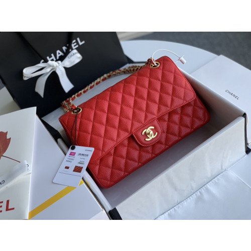 Chanel Flap Bag 25cm (Medium)