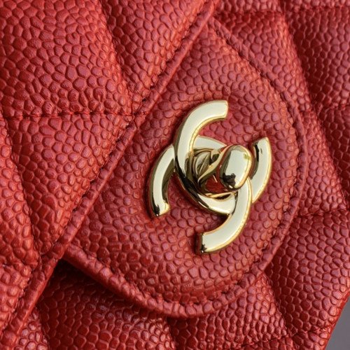 Chanel Flap Bag 25cm (Medium) - Image 10