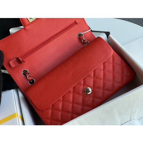 Chanel Flap Bag 25cm (Medium) - Image 3