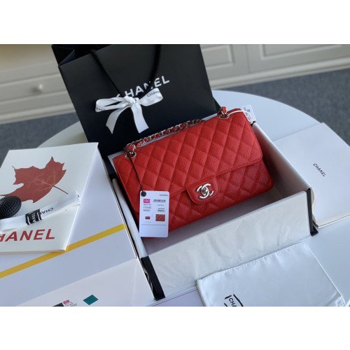 Chanel Flap Bag 25cm (Medium)