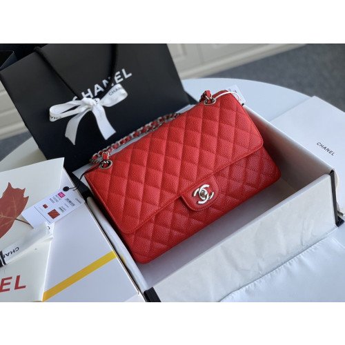 Chanel Flap Bag 25cm (Medium) - Image 8