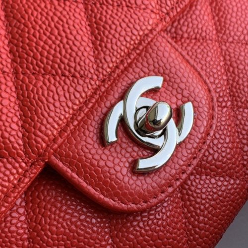 Chanel Flap Bag 25cm (Medium) - Image 9