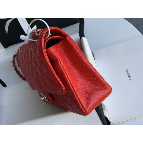 Chanel Flap Bag 25cm (Medium) - Image 10