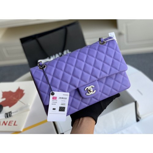 Chanel Flap Bag 25cm (Medium)