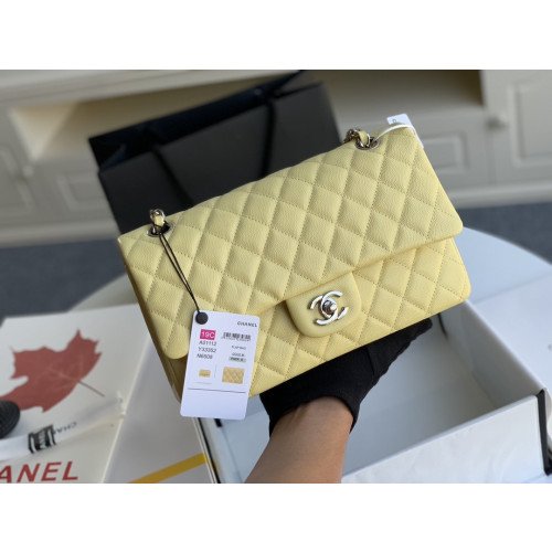 Chanel Flap Bag 25cm (Medium)