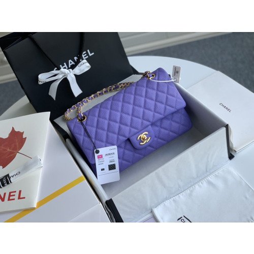 Chanel Flap Bag 25cm (Medium)