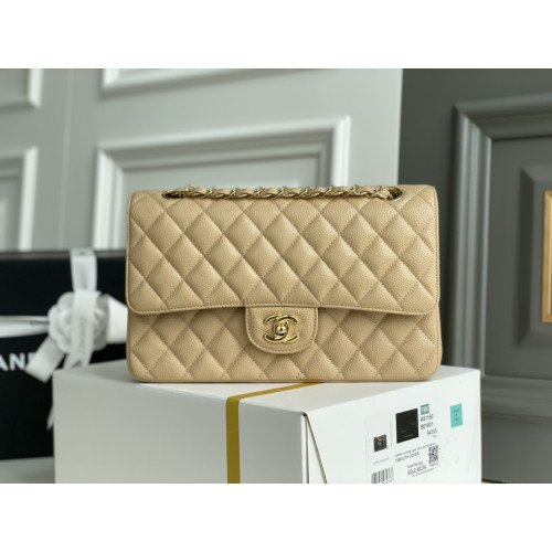 Chanel Flap Bag 25cm (Medium)