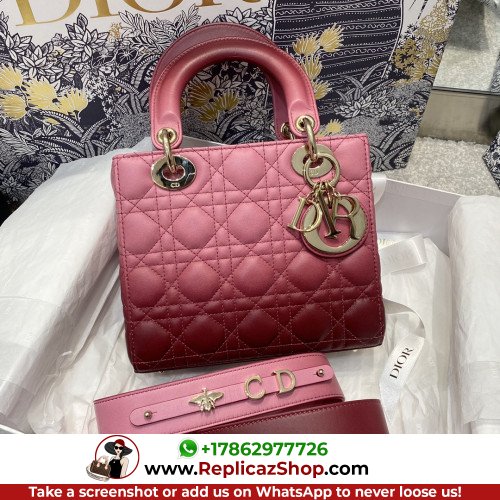 Dior Lady Dior 20cm Small