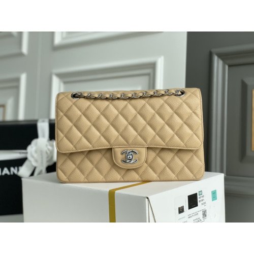 Chanel Flap Bag 25cm (Medium)