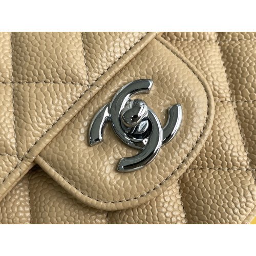 Chanel Flap Bag 25cm (Medium) - Image 7