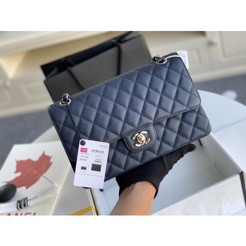 Chanel Flap Bag 25cm (Medium)
