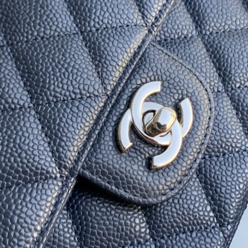 Chanel Flap Bag 25cm (Medium) - Image 7