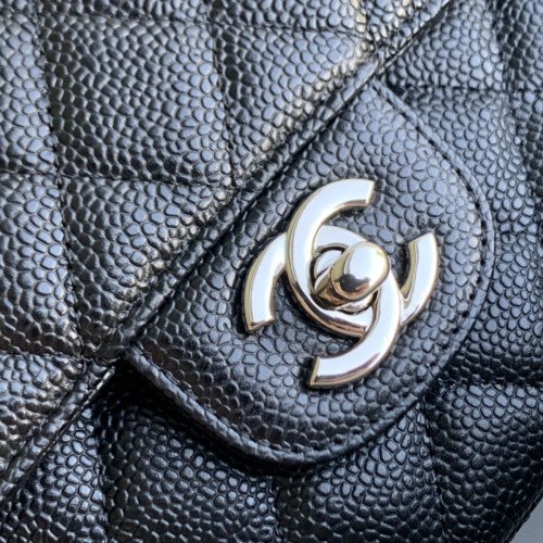 Chanel Flap Bag 25cm (Medium) - Image 3