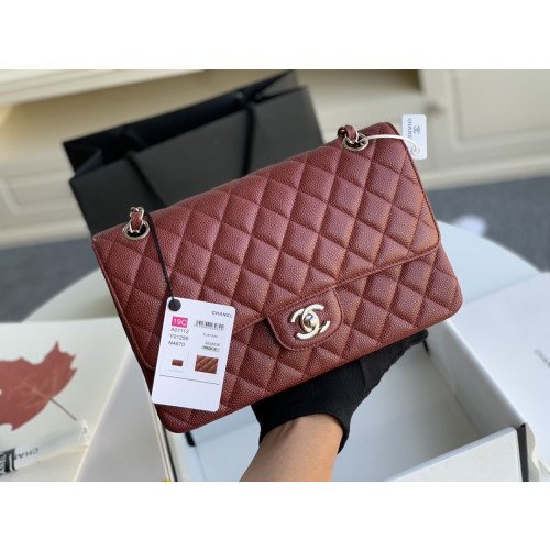 Chanel Flap Bag 25cm (Medium)