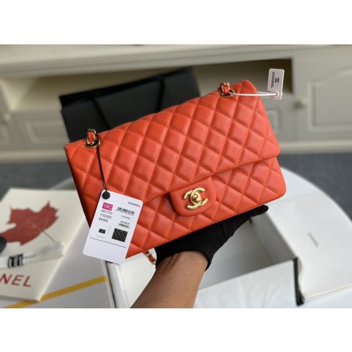 Chanel Flap Bag 25cm (Medium)