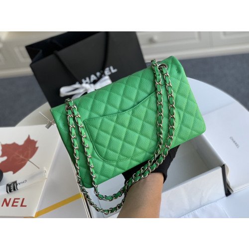 Chanel Flap Bag 25cm (Medium) - Image 4
