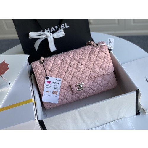 Chanel Flap Bag 25cm (Medium)