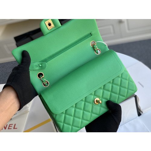 Chanel Flap Bag 25cm (Medium) - Image 3