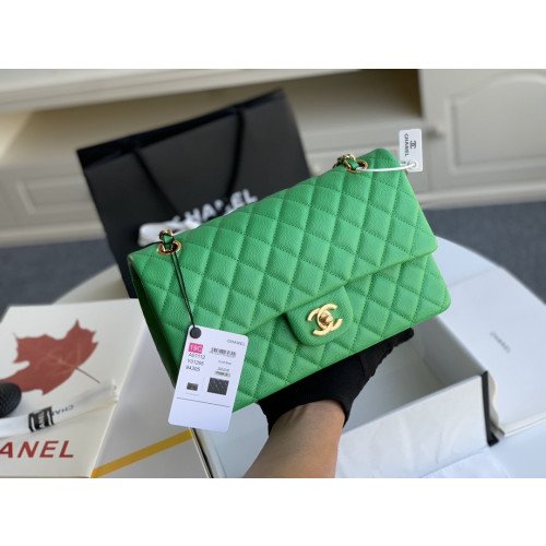 Chanel Flap Bag 25cm (Medium)