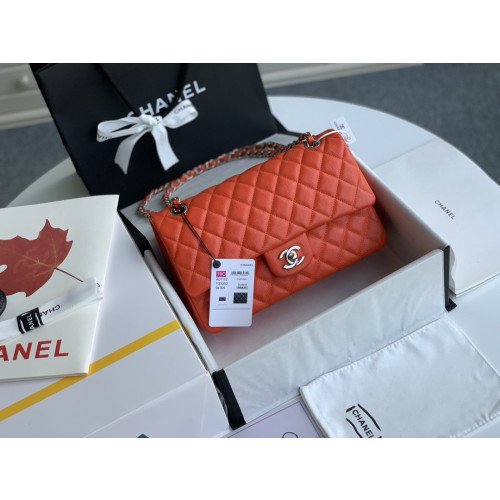 Chanel Flap Bag 25cm (Medium)