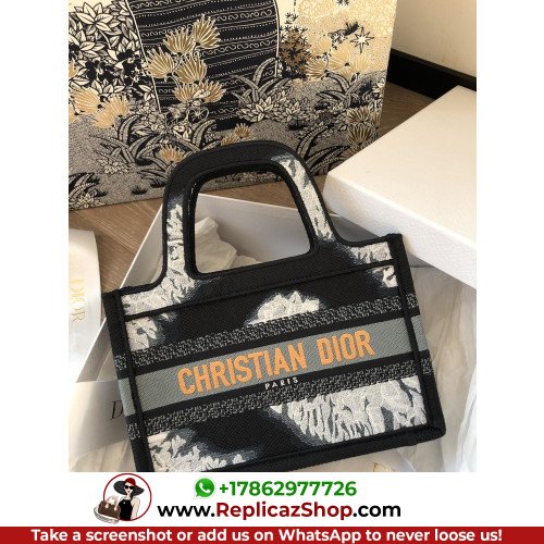 Dior Book Tote Mini 22.5cm