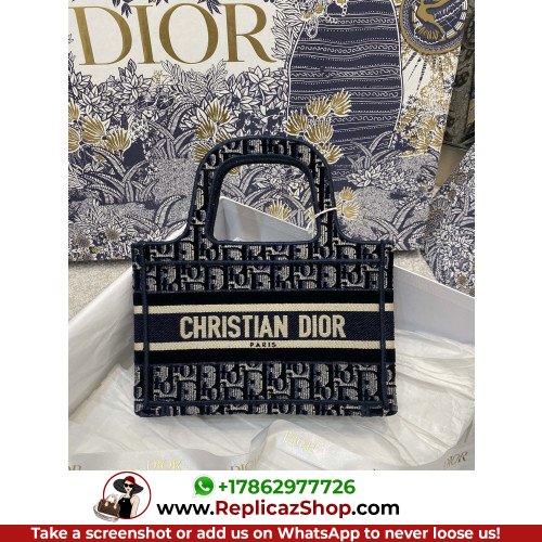 Dior Book Tote Mini 22.5cm