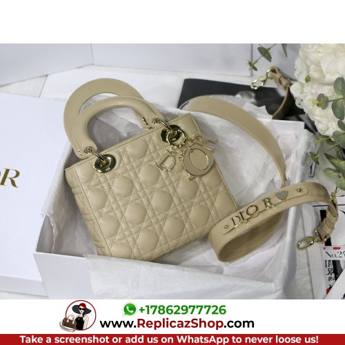 Dior Lady Dior 24cm Medium