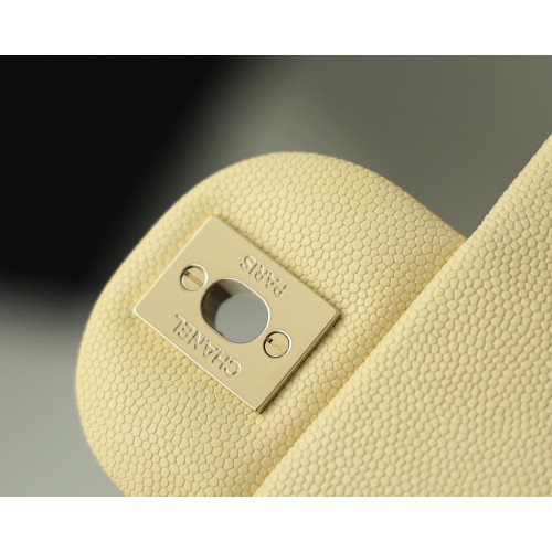 Chanel Flap Bag 20cm (Mini) - Image 9