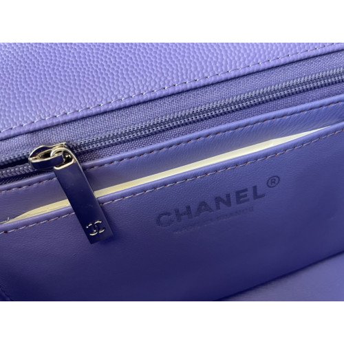 Chanel Flap Bag 20cm (Mini) - Image 2